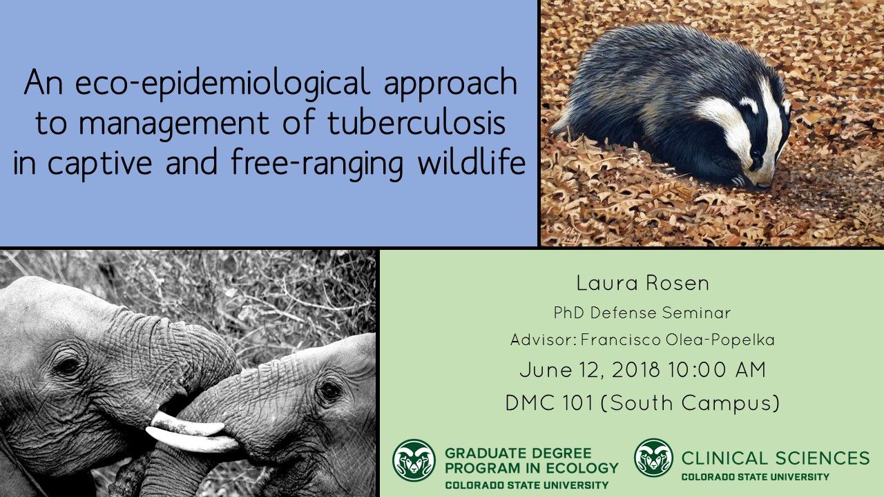 Defense Seminar Announcement Example. Title: An eco-epidemiological approach to management of tuberculosis in captive and free-ranging wildlife. Student: Laura Rosen. PhD Defense Seminar. Advisor: Francisco Olea-Popelka. June 12, 2018 10 am. DMC 101 (South Campus). Graduate Degree Program in Ecology Colorado State University word mark. Clinical Sciences, Colorado State University word mark. Picture of badger. Picture of two elephants.